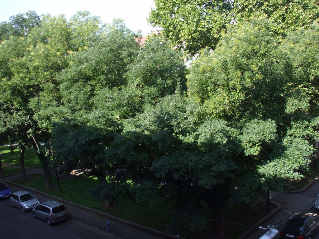 גראץ Appartement St. Leonhard מראה חיצוני תמונה